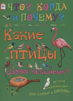 Какие птицы самые красивые? — 2618185 — 1