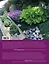 Прекрасный сад за 20 дней. Экспресс-курс — 2458583 — 2