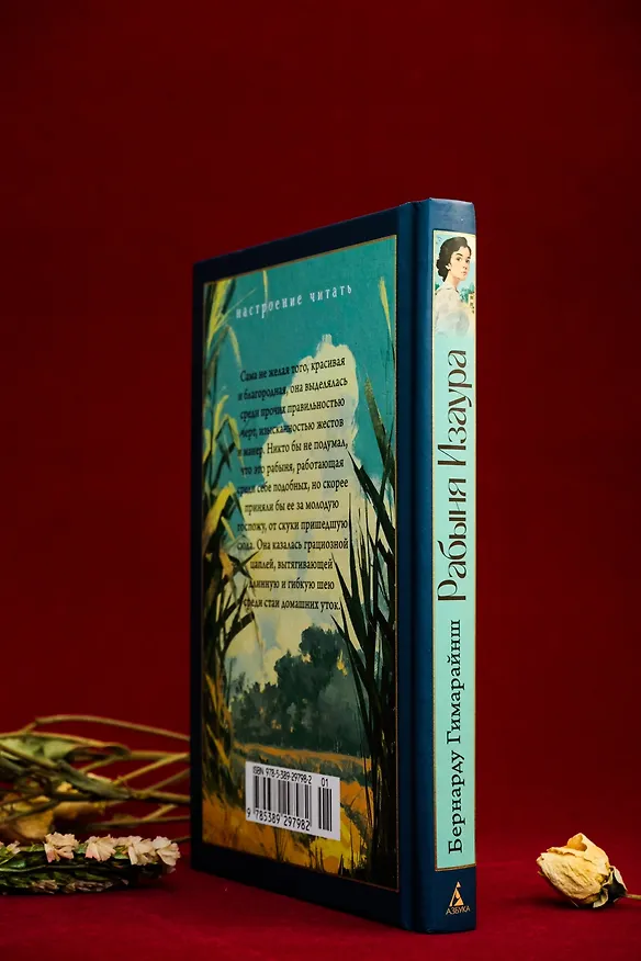 Книга Рабыня Изаура (Бернарду Гимарайнш) — 16