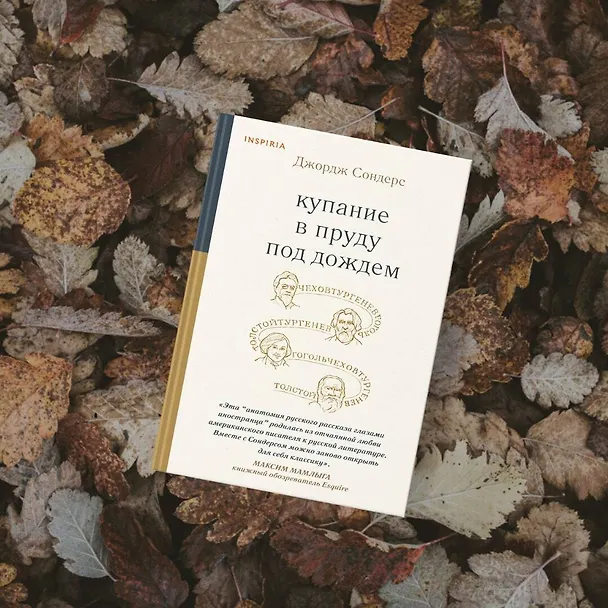 Книга Купание в пруду под дождем (Джордж Сондерс) — 11