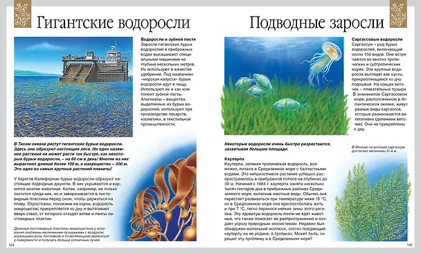 Книга Мир моря (Эмили Бомон, Валери Ле Дю) — 7