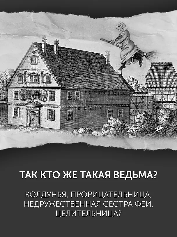 Книга Великая охота на ведьм. Долгое Средневековье для одного "преступления". (Людовик Виалле) — 6