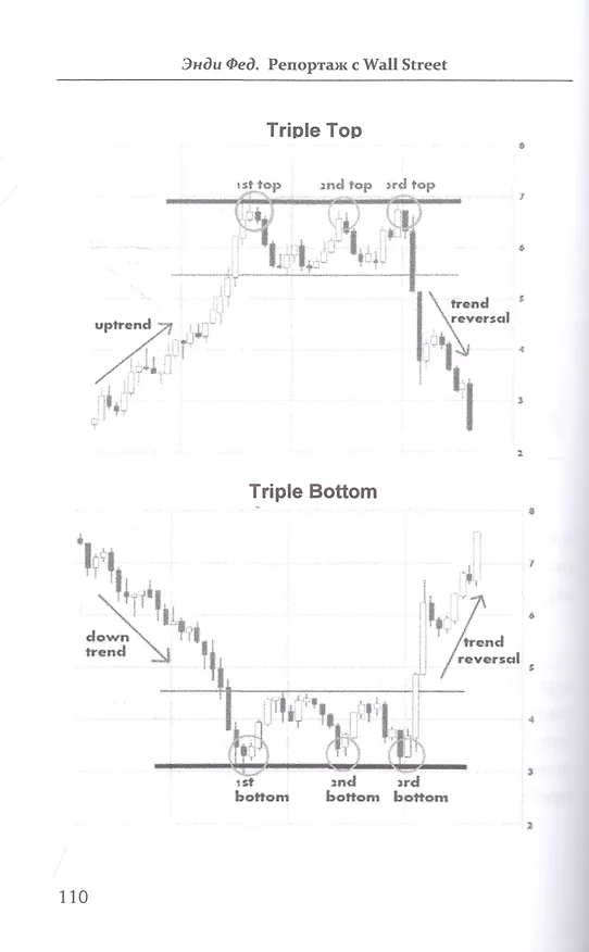 Книга Репортаж с Wall Street (Andy Fed) — 5