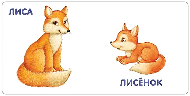 Книга Книжки-картонки. Животные и детеныши () — 3