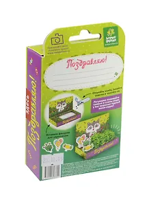 Подарочный набор Живая открытка Поздравляю Енот (13х8х2,5 см) (hps-220)