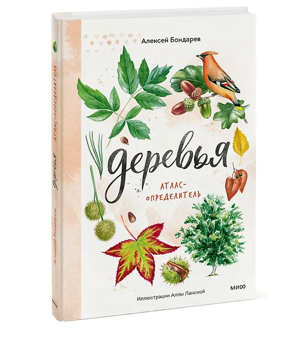 Книга Деревья. Атлас-определитель (Алексей Бондарев) — 3