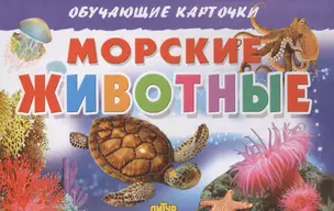 Обуч.карт.Морские животные — 2568236 — 1