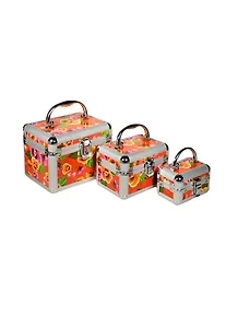 Набор из 3 шкатулок 17*13*13 см (671006)