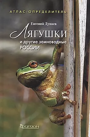 Лягушки и другие земноводные России — 2656468 — 1