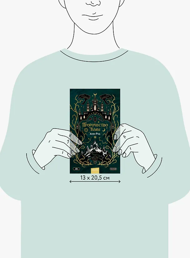 Книга Пророчество тьмы (Анви Рид) — 17