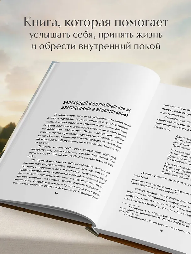 Книга Что нам нужно для счастья? Как не прожить чужую жизнь (Игумен Нектарий Морозов) — 6