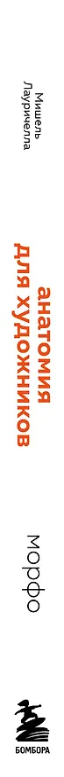 Книга МОРФО. Анатомия для художников (Мишель Лауричелла) — 4