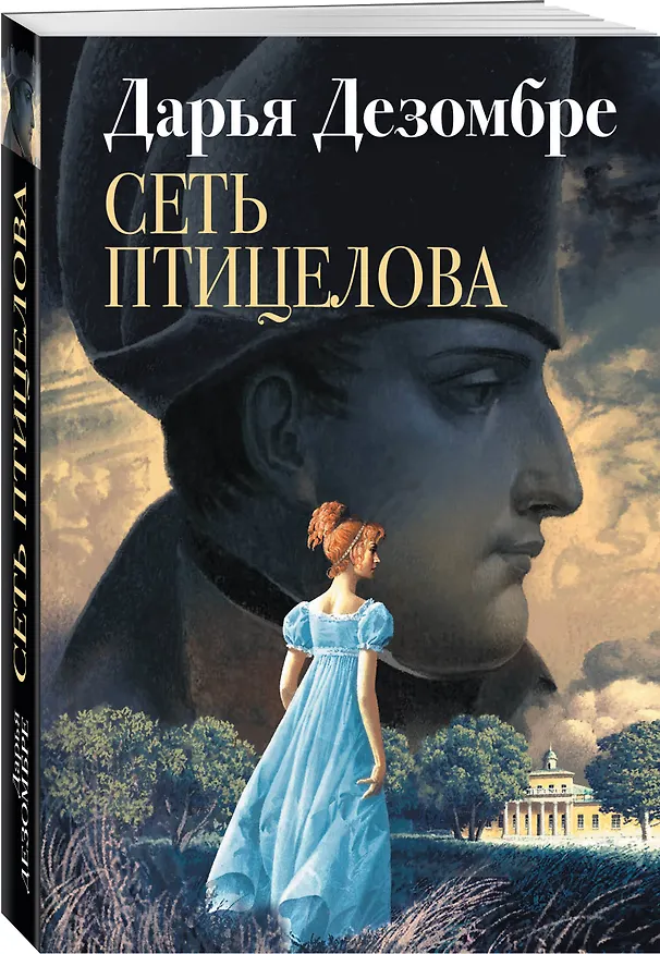 Книга Сеть птицелова (Дарья Дезомбре) — 4
