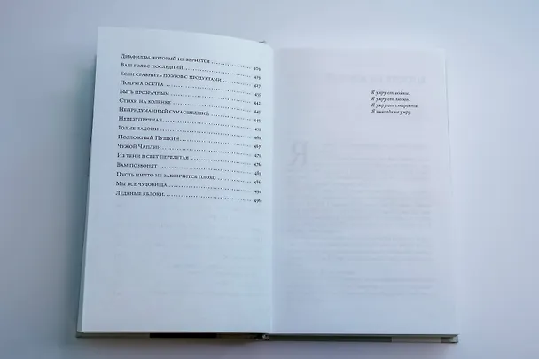 Книга Бессмертная стрекоза (Дмитрий Воденников) — 14