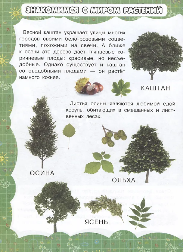 Книга Деревья и цветы (Игорь Резько) — 3