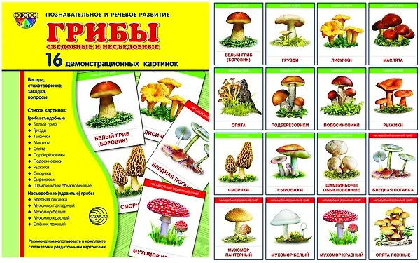 Книга Грибы съедобные и несъедобные. 16 демонстрационных картинок с текстом () — 1