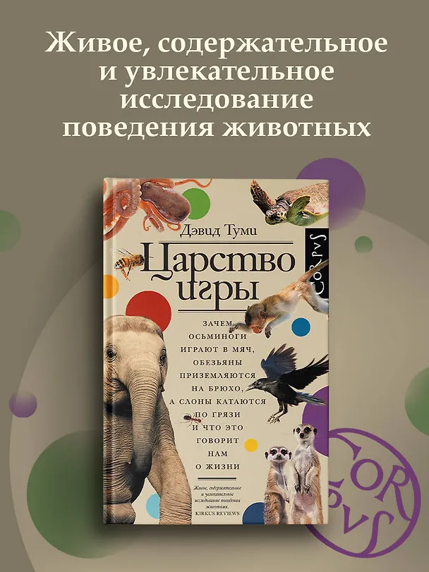 Книга Царство игры (Дэвид Туми) — 5
