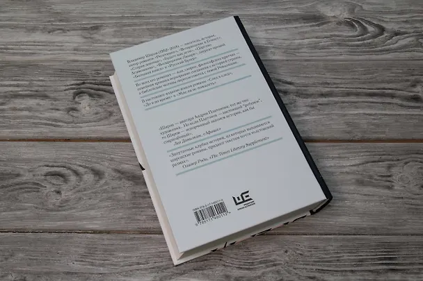 Книга След в след. До и во время. Мне ли не пожалеть (Владимир Шаров) — 12