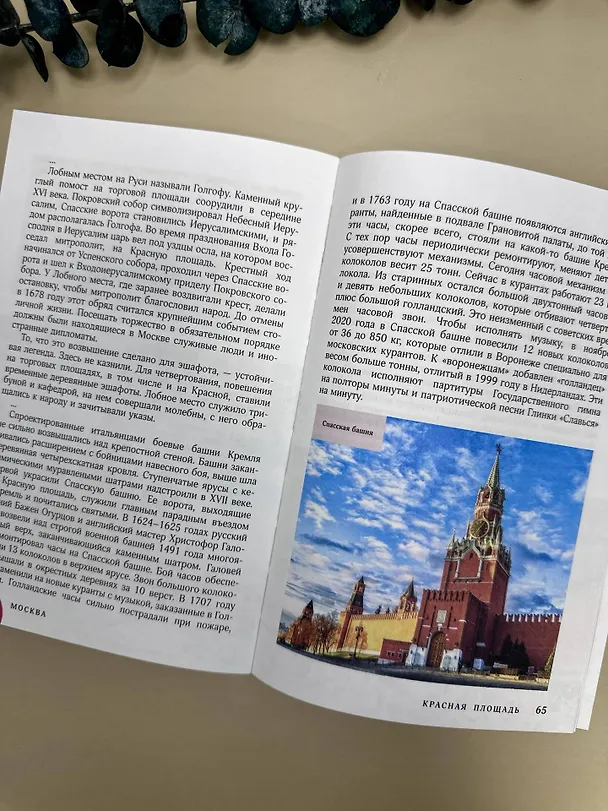 Книга Москва. Топ-10 знаковых площадей. История, маршруты, локации (Михаил Жебрак) — 10