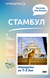 Стамбул. Что там делать. Маршруты на 3 дня