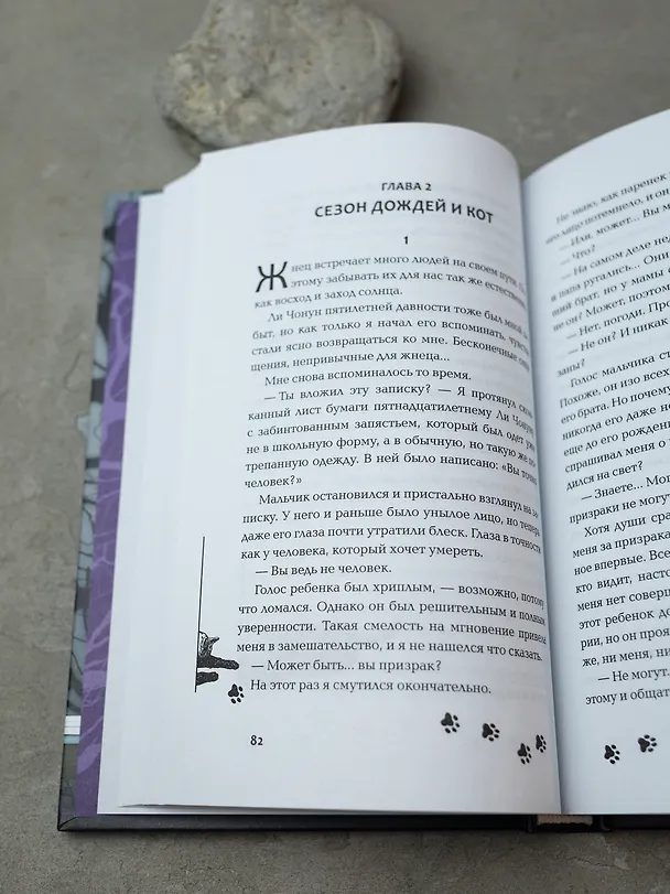 Книга Пока ты видишь меня (Пак Хён Джу) — 9