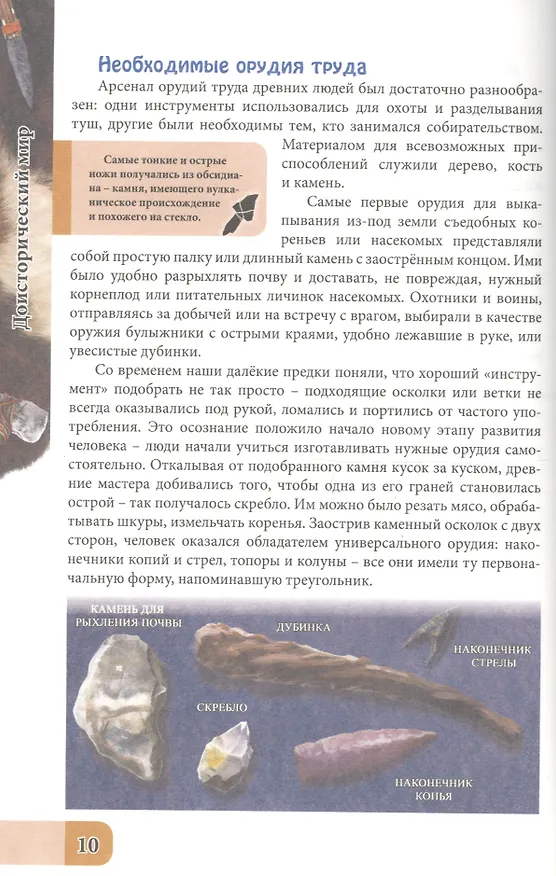 Книга ЭНЦИКЛОПЕДИЯ. В МИРЕ ЗНАНИЙ. ДОИСТОРИЧЕСКИЙ МИР (Ольга Тяжлова) — 5