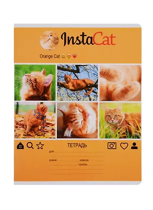 Тетрадь в клетку BG, InstaFun, А5, 24 листа, в ассортименте 249050