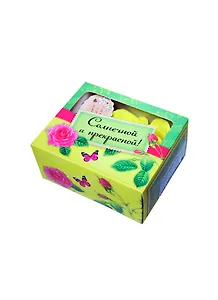 Мыльные лепестки в картонной коробке Солнечной и прекрасной (6шт) (777883)