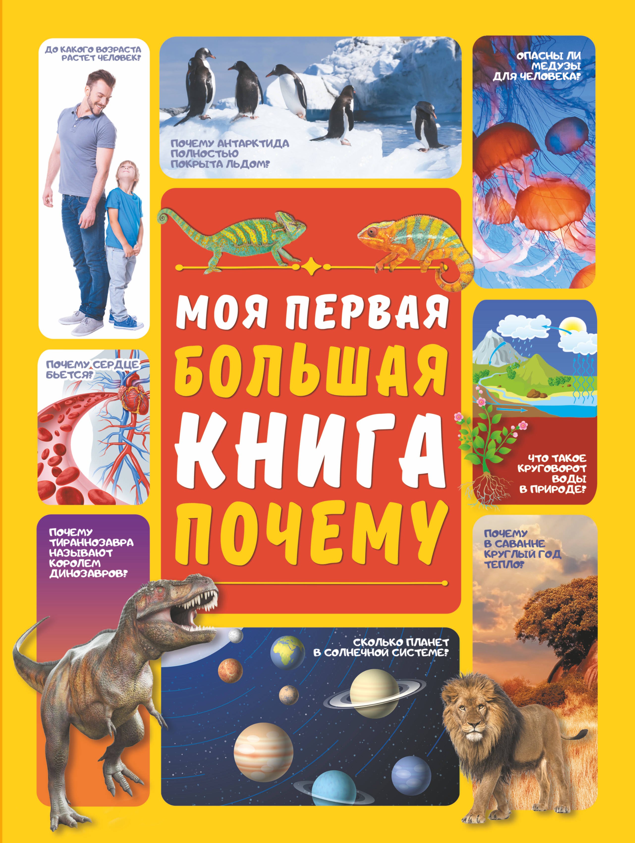 

Моя первая большая книга ПОЧЕМУ