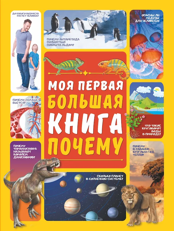 Книга Моя первая большая книга ПОЧЕМУ (Дарья Ермакович) — 1