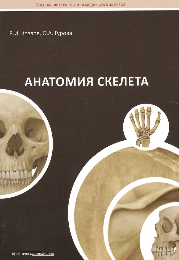 Книга Анатомия скелета: Учебное пособие (Ольга Гурова, Валентин Козлов) — 1
