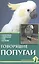 Говорящие попугаи. Обзор видов, содержание, уход, обучение — 2426253 — 1