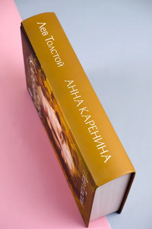 Книга Анна Каренина (Лев Толстой) — 14