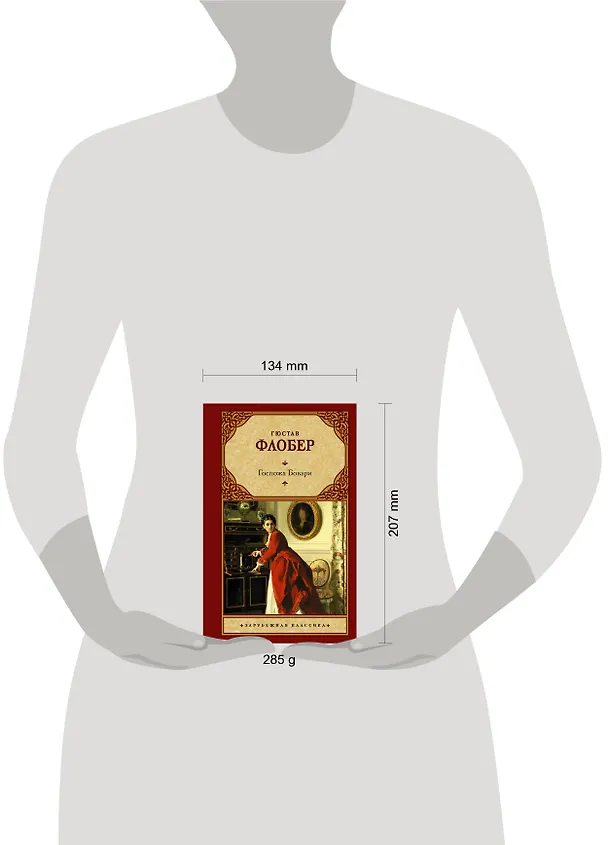 Книга Госпожа Бовари (Гюстав Флобер) — 4