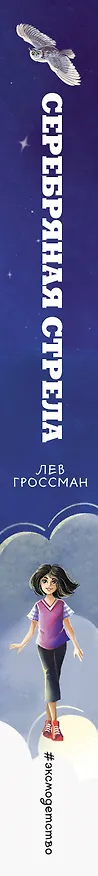 Книга Серебряная Стрела (Лев Гроссман) — 4