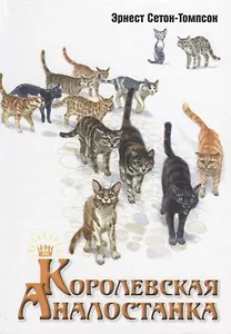 Королевская Аналостанка: рассказ