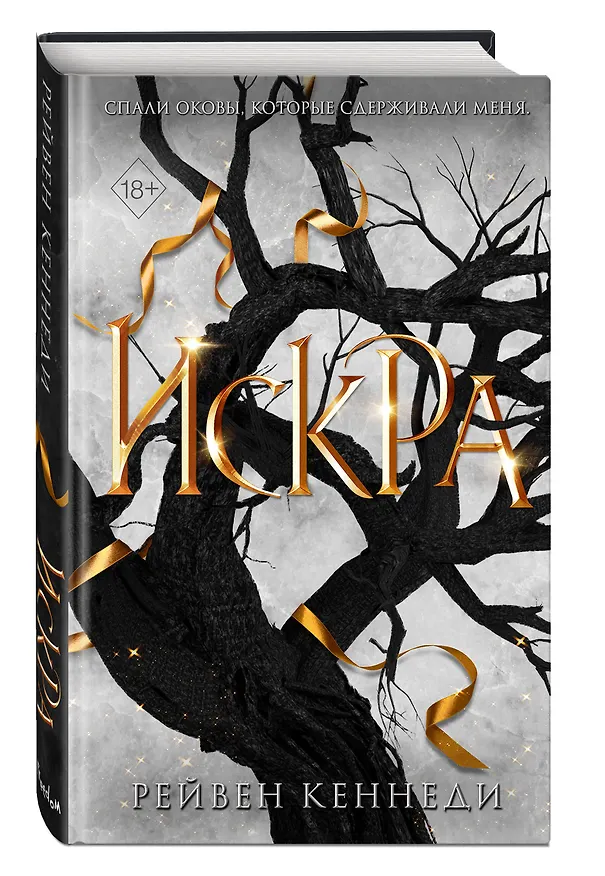 Книга Искра (#3) (Рейвен Кеннеди) — 6