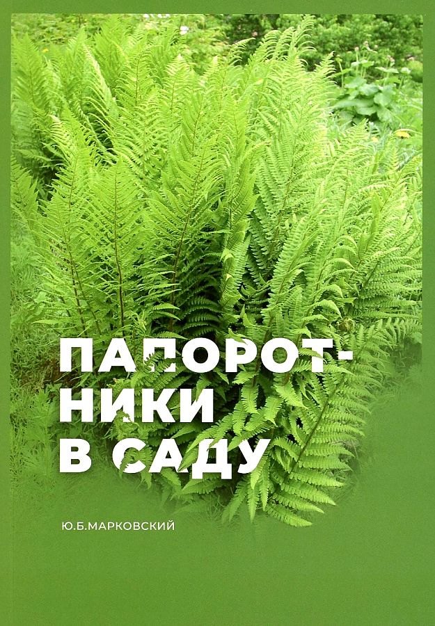

Папоротники в саду