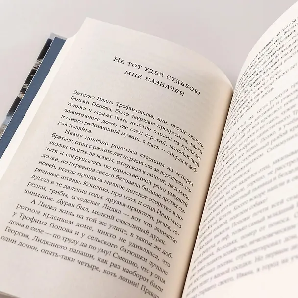 Книга Эффект Ребиндера  (Елена Минкина-Тайчер) — 8