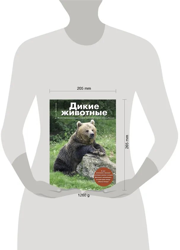 Книга Дикие животные: Иллюстрированная энциклопедия обитателей средней полосы России (Ксения Митителло) — 4