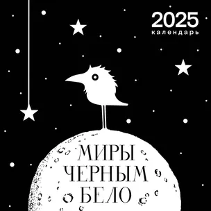 Календарь 2025г 300*300 "Миры Черным-бело" настенный, на скрепке — 3050697 — 1