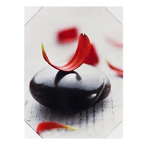 Картина Красный лепесток на камне (40х40) (740-089) 2430682