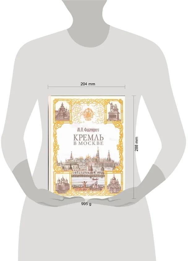 Книга Кремль в Москве (М.П. Фабрициус) — 2