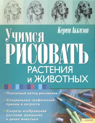 Учимся рисовать растения и животных — 2241808 — 1