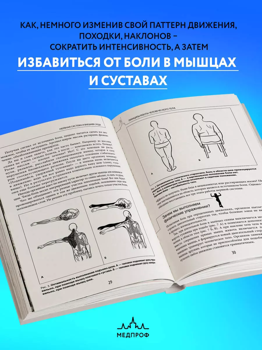 Прикладная кинезиология (Людмила Васильева) 📖 Восстановление тонуса и  функций скелетных мышц - купить книгу по выгодной цене в «Читай-город»