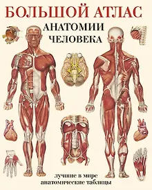 Большой атлас анатомии человека(в табл)