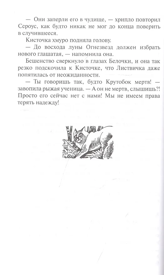 Книга Новое пророчество. Кн.3. Рассвет (Эрин Хантер) — 4