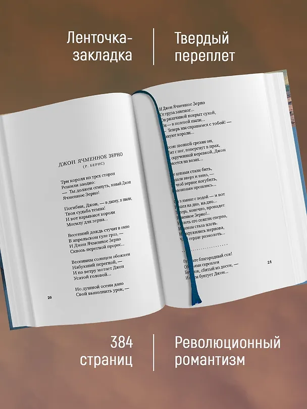 Книга "С громадными звездами наедине..." (Эдуард Багрицкий) — 5