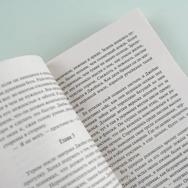 Книга Герой (Сомерсет Моэм) — 8