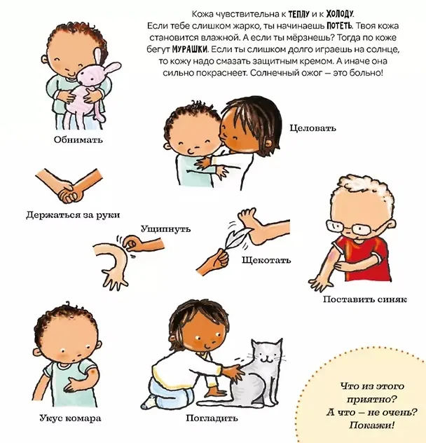 Книга Все о твоем теле (Паулина Ауд) — 5